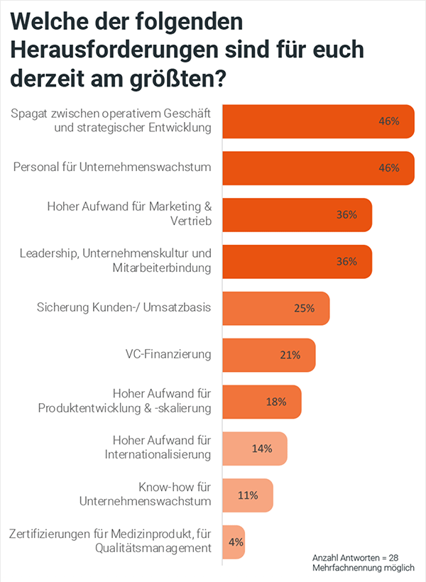 Herausforderungen Digital Scale-ups